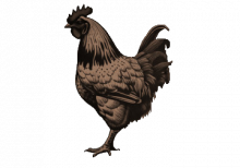 Geflügel